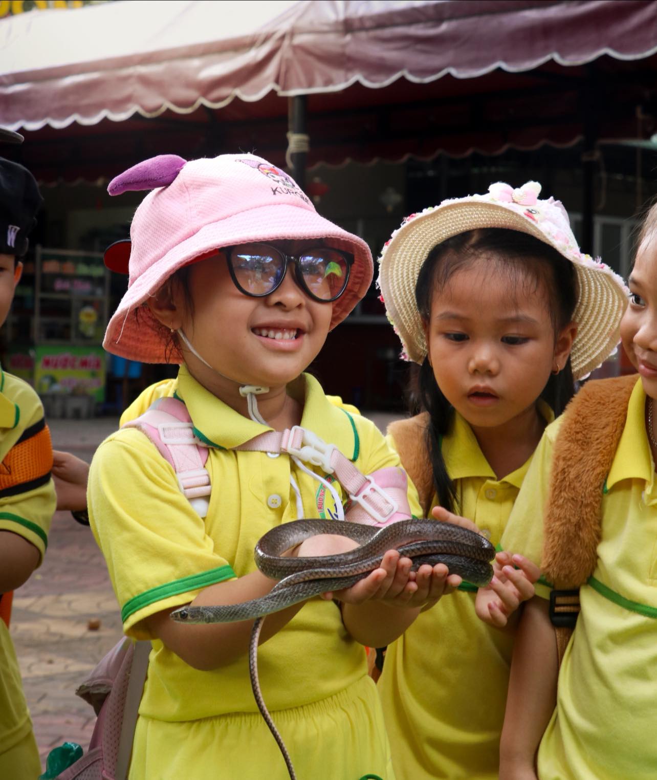 Trẻ em trải nghiệm cầm rắn an toàn