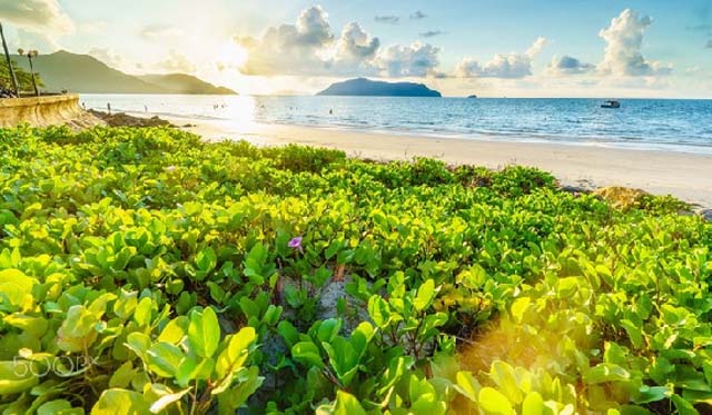 Vị trí và cách di chuyển đến Mũi Cá Mập