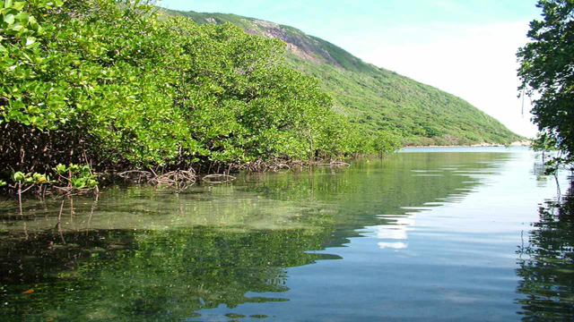 Vườn quốc gia Côn Đảo đa dạng sinh học