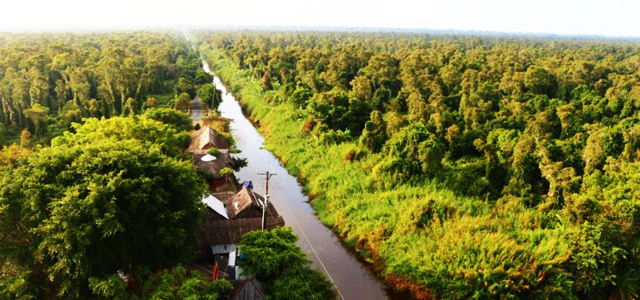 Thuyết minh - Giới thiệu về hệ sinh thái vườn quốc gia rừng U Minh Hạ Cà Mau ở đâu, thuộc tỉnh nào