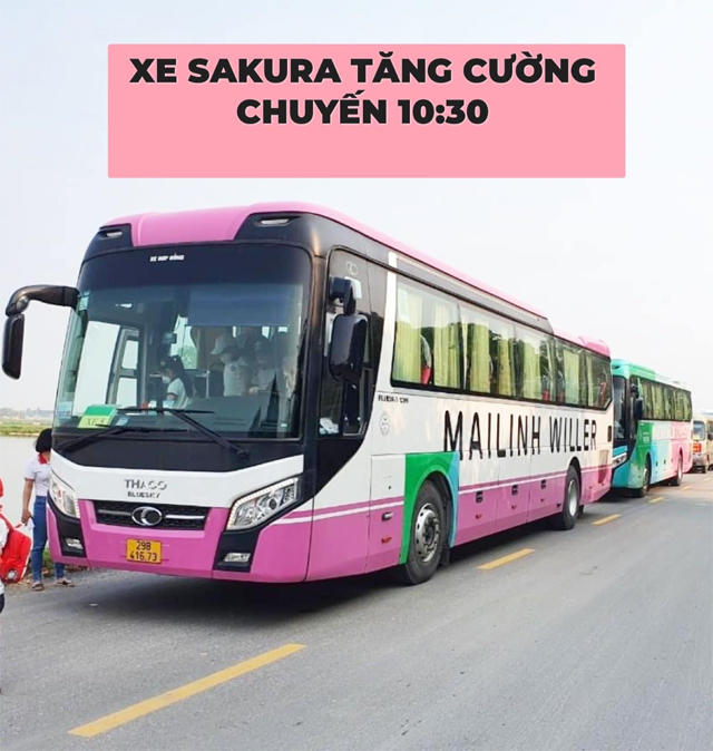 Xe Mai Linh Willer từ Hà Nội đi Thanh Hóa (Sầm Sơn, Quảng Xương, Triệu Sơn)